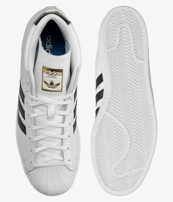 adidas Skateboarding Pro Model ADV Zapatilla (white core black gold)