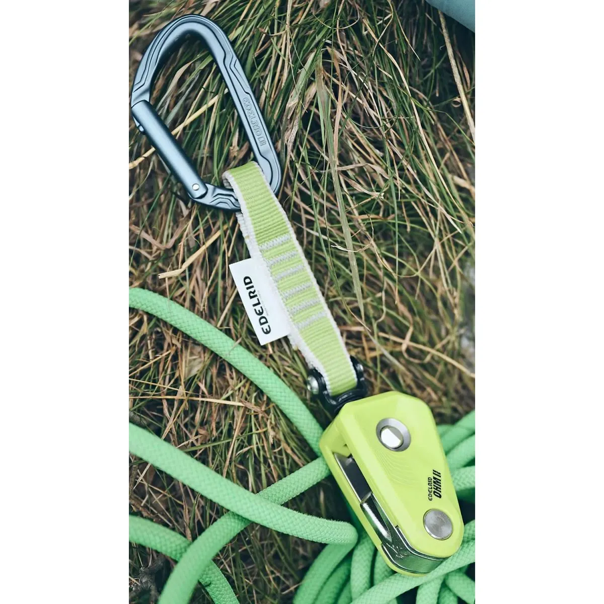 Asegurador edelrid OHM II