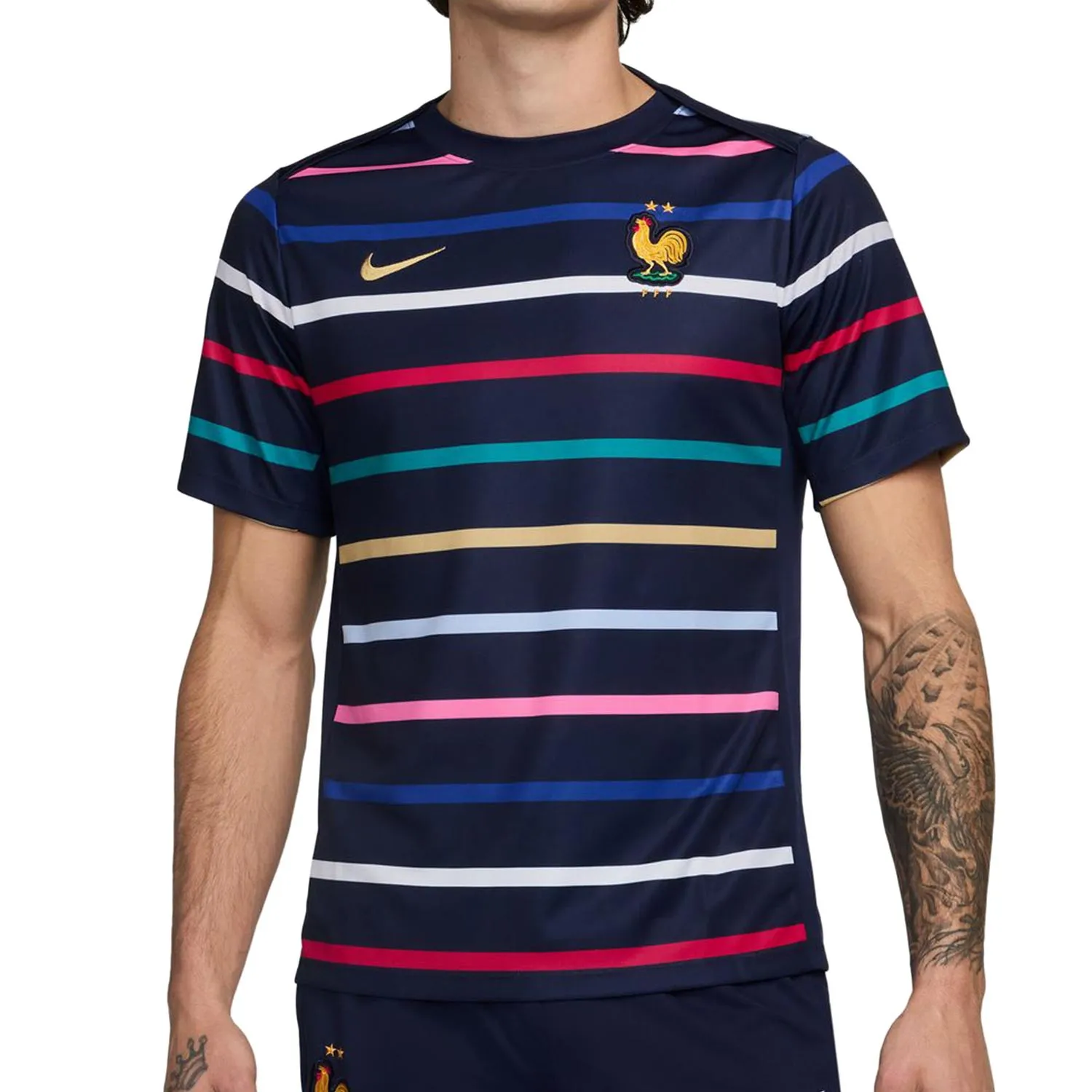 CAMISETA NIKE FRANCIA PREMATCH DRIFIT ACADEMY PRO