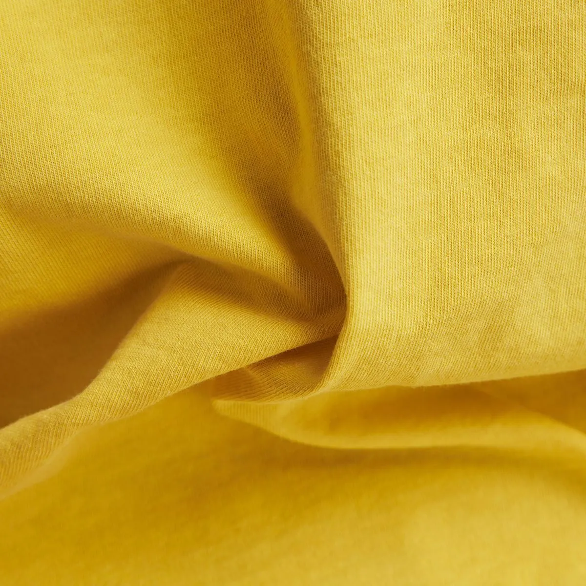D163962653 LASHG388 DK LEMON GD