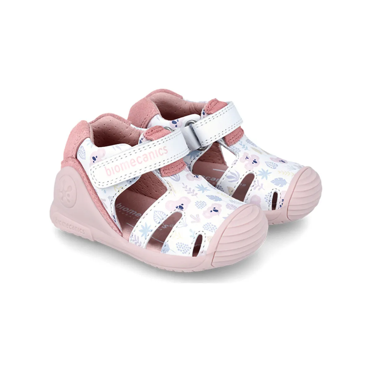 KOALAS 242103
