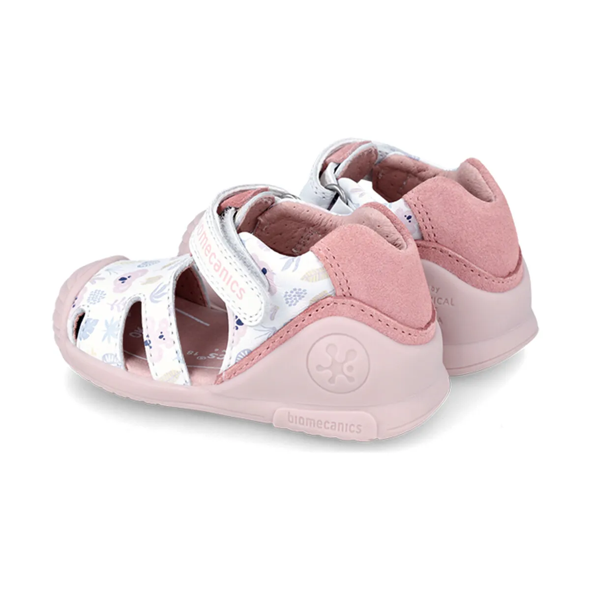 KOALAS 242103