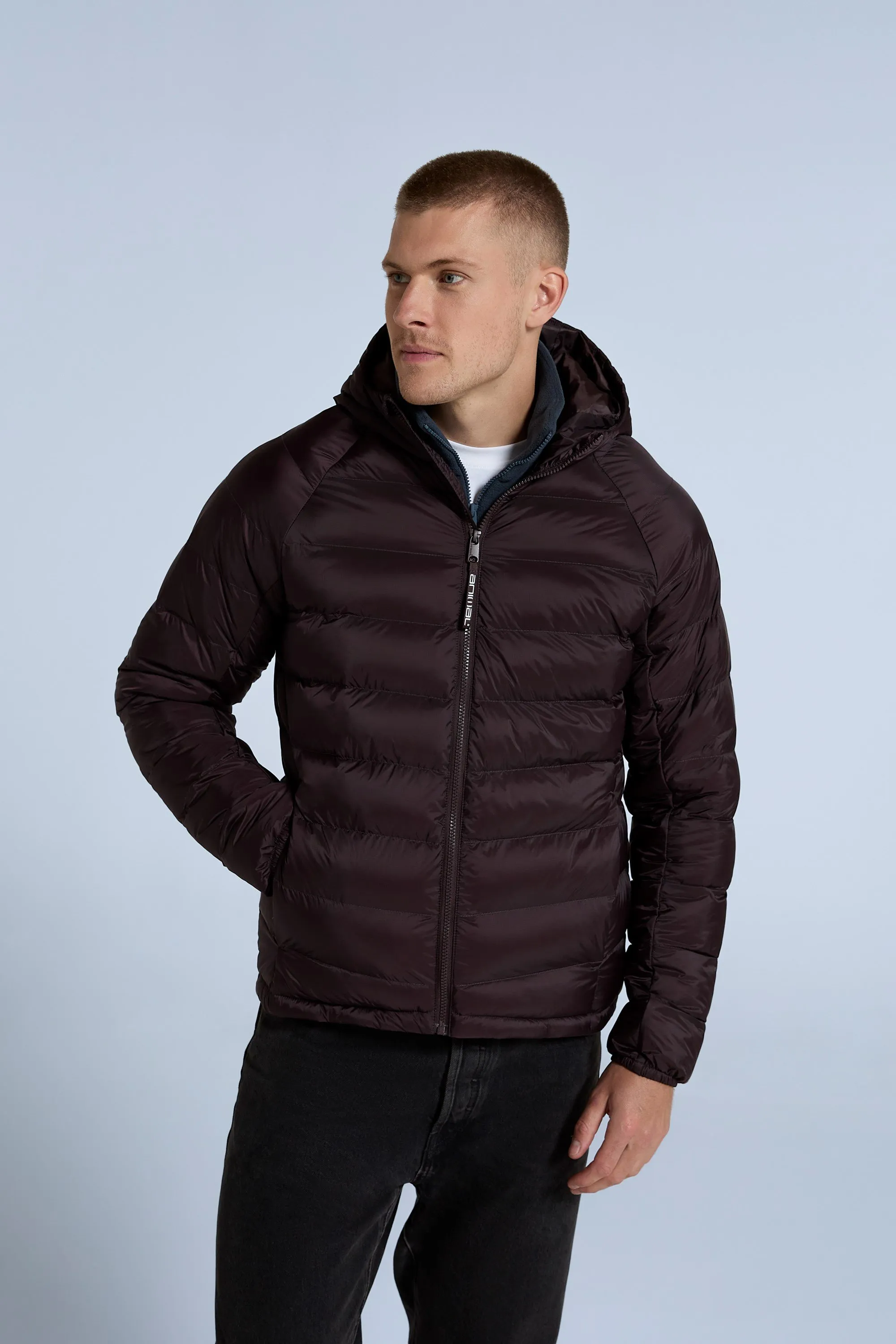 Light Cloud Cosi chaqueta acolchada para hombre