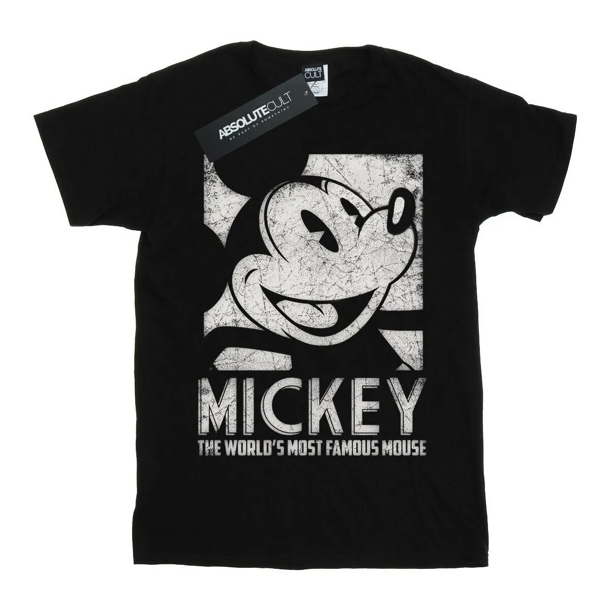 Mickey Mouse Most Famous