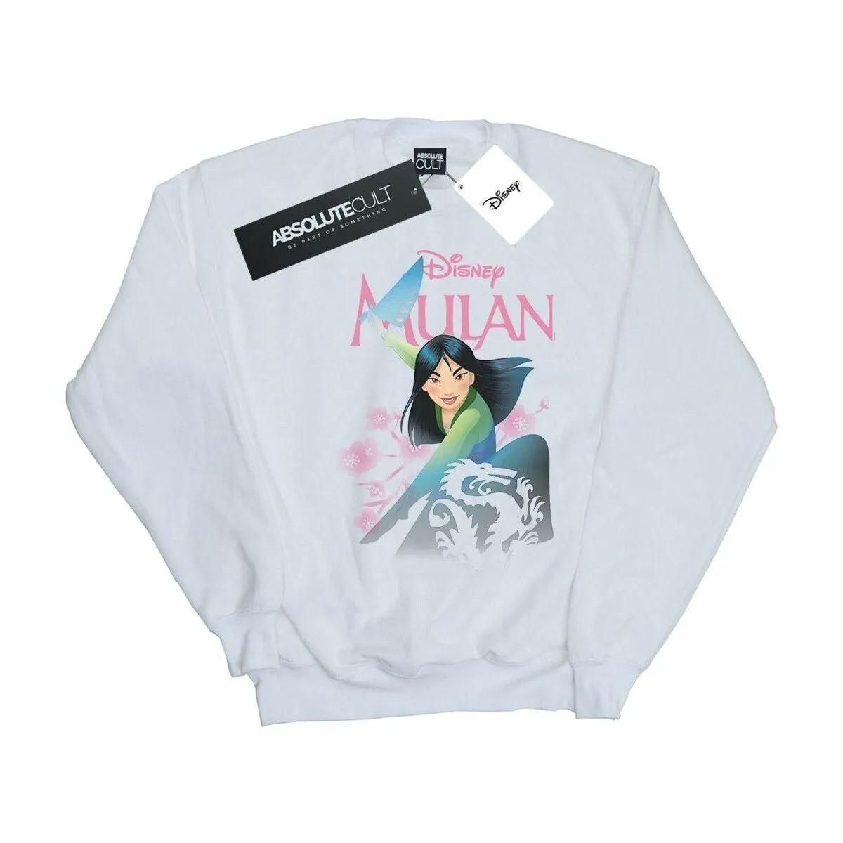 Mulan My Own Hero
