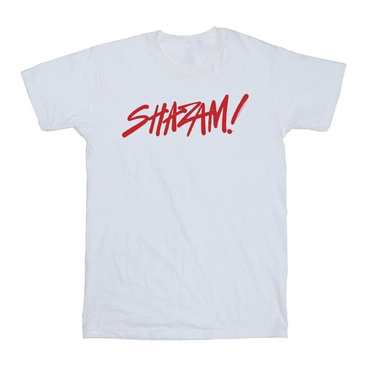 Shazam Fury Of The Gods Spray Paint Logo