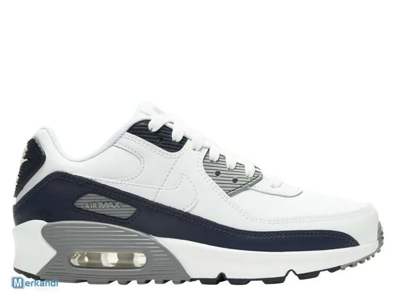 SHOES NIKE AIR MAX 90 LTR (GS)  CD6864105